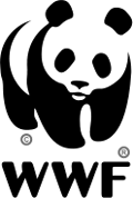 Panda Panda