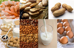Allergén gyermekételek, étel allergia Allergén gyermekételek, étel allergia